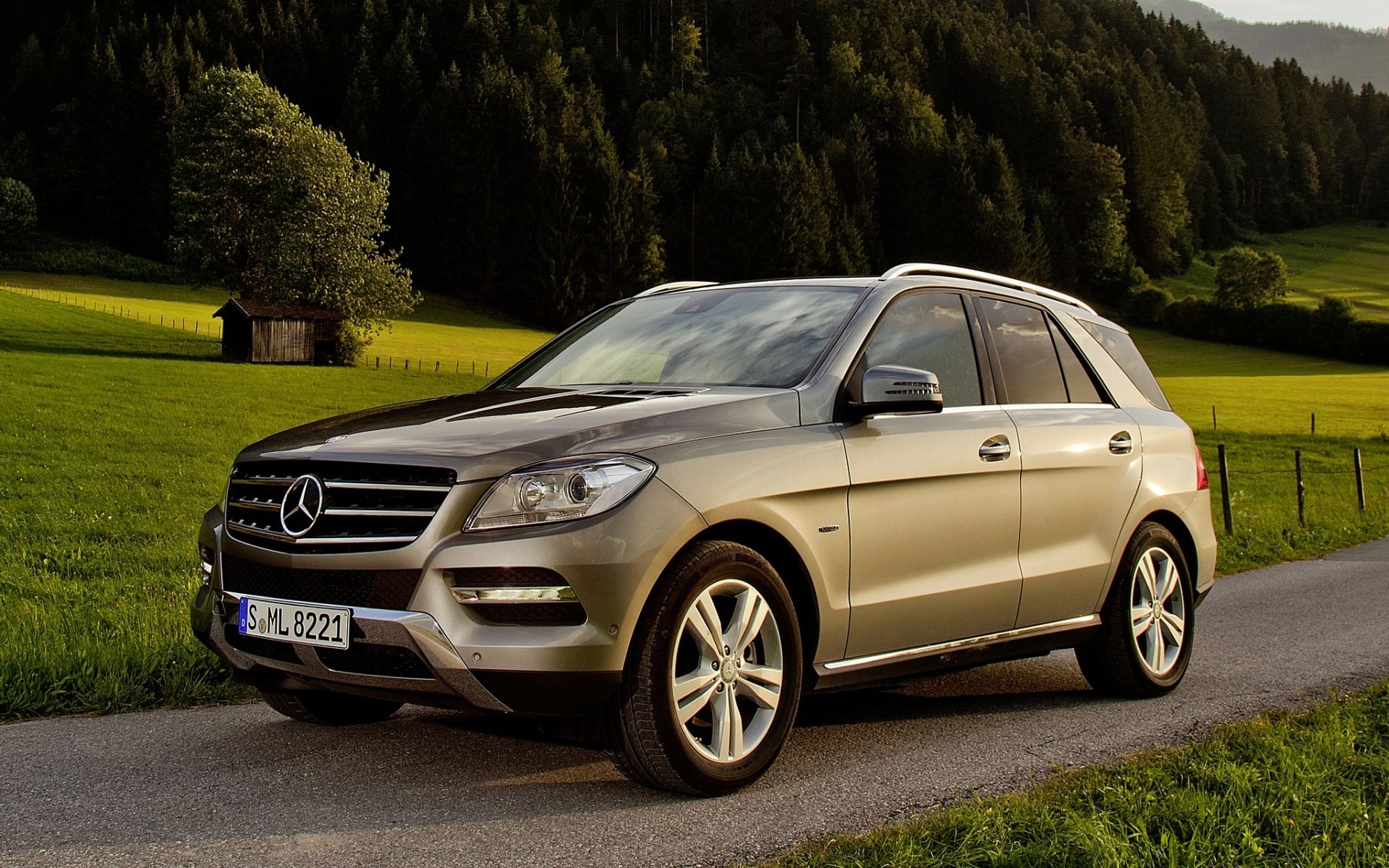 mercedes-benz ml blueefficiency мерседес мл джип кроссовер передок дорога деревья фон