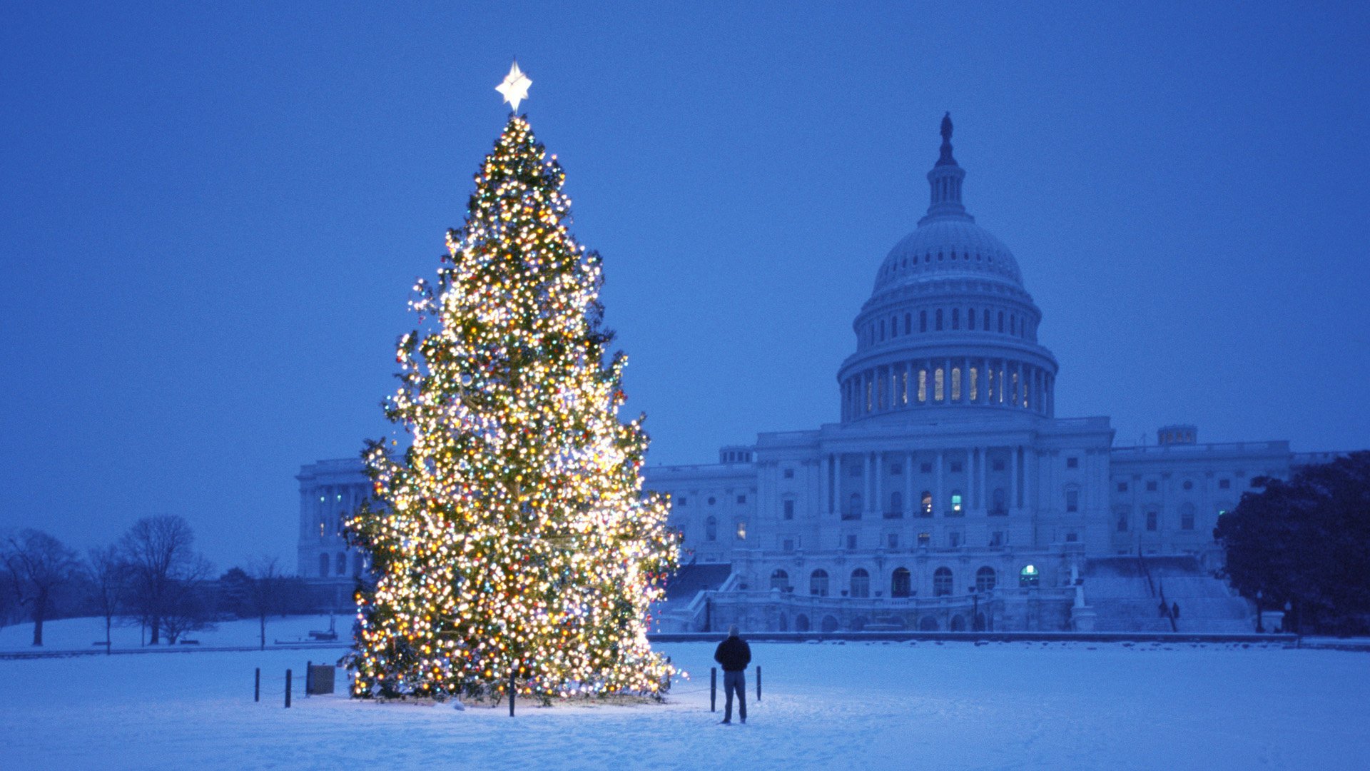 kupal nuovo anno albero di natale piazza sera inverno neve vacanza luci architettura costruzione città cupola uomo decorazione palle