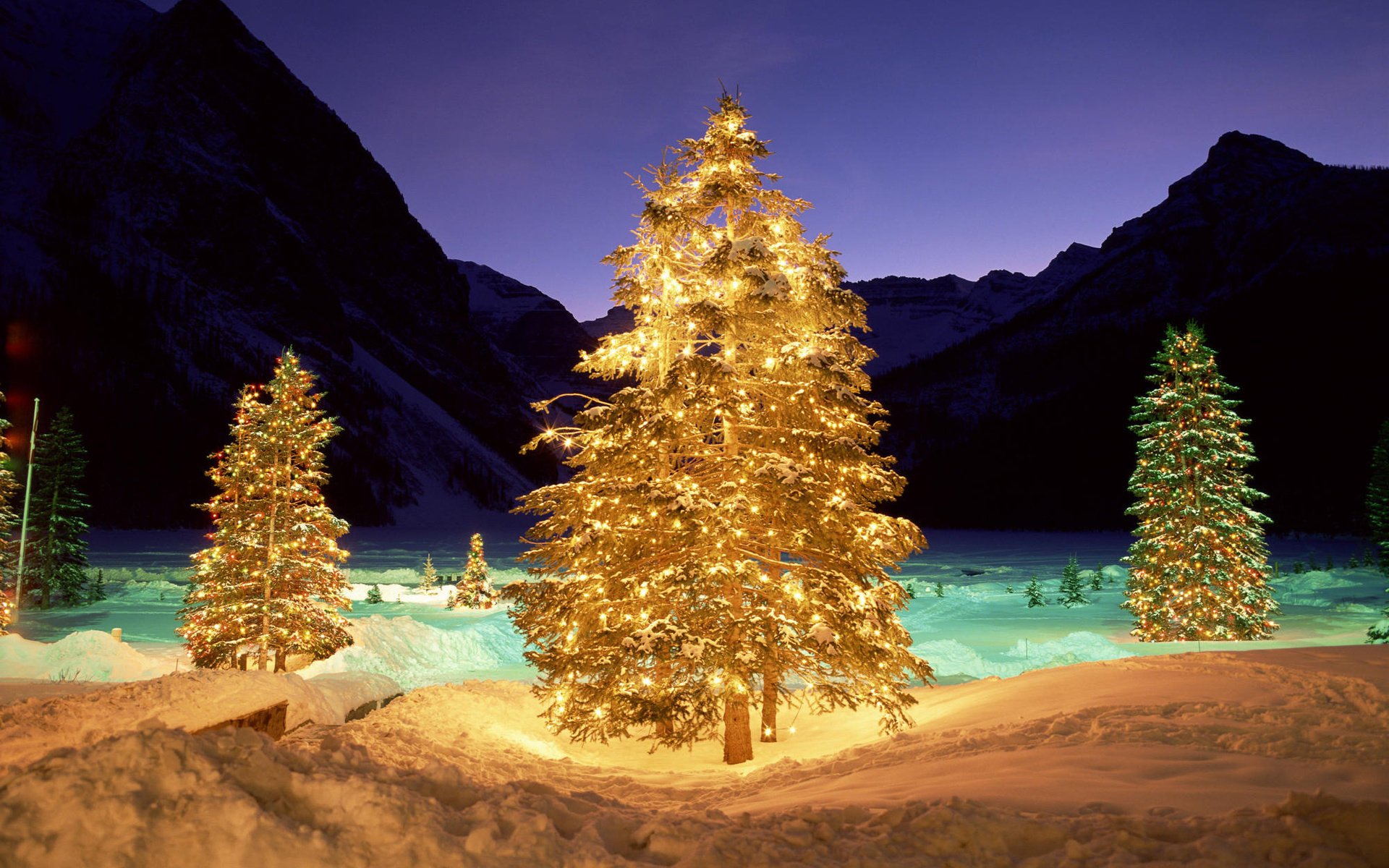 vacanze alberi di natale cielo sera luci capodanno cumuli di neve neve inverno palle ghirlande decorazioni montagne natura gelo