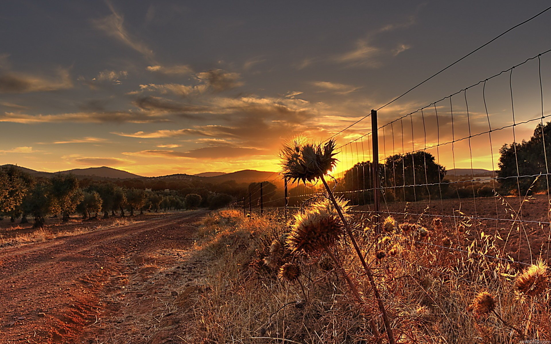 cook ket maille fil clôture coucher de soleil nature champ route plantes montagnes collines ciel nuages