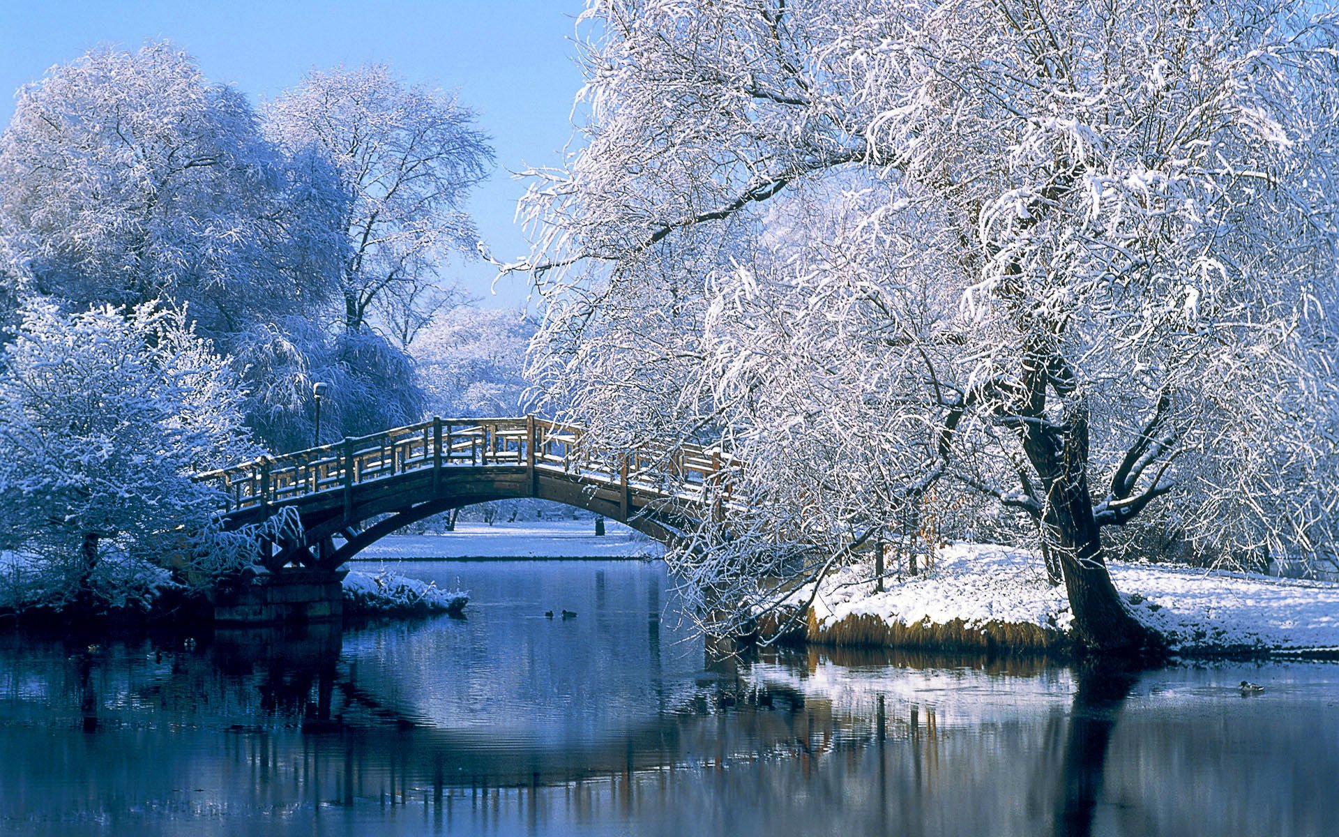 invierno nieve puente río escarcha corriente paisaje árboles cubiertos de nieve costa cielo escarcha árboles agua