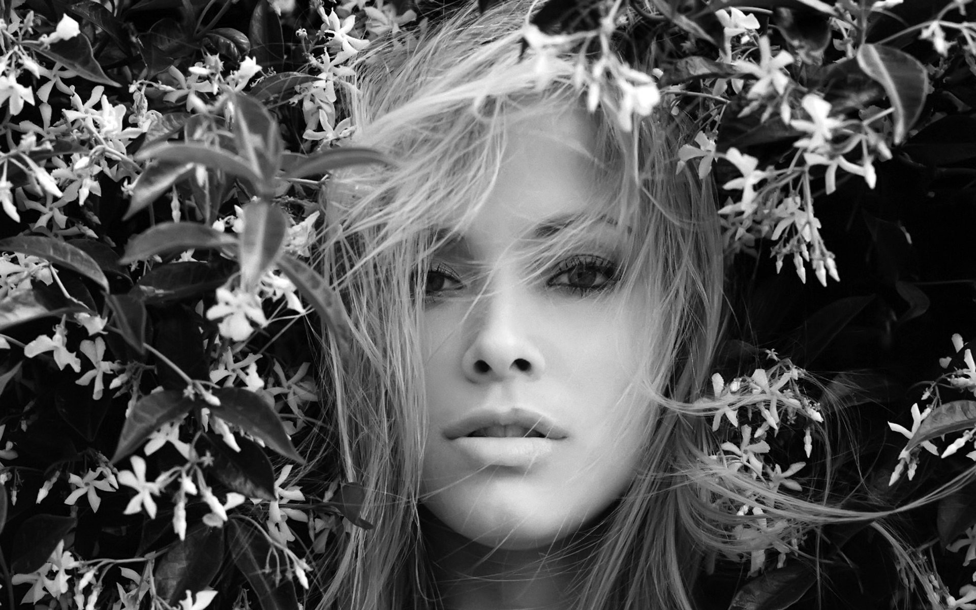 flowers red ric centerfolds girls eyes look face portrait women black and white