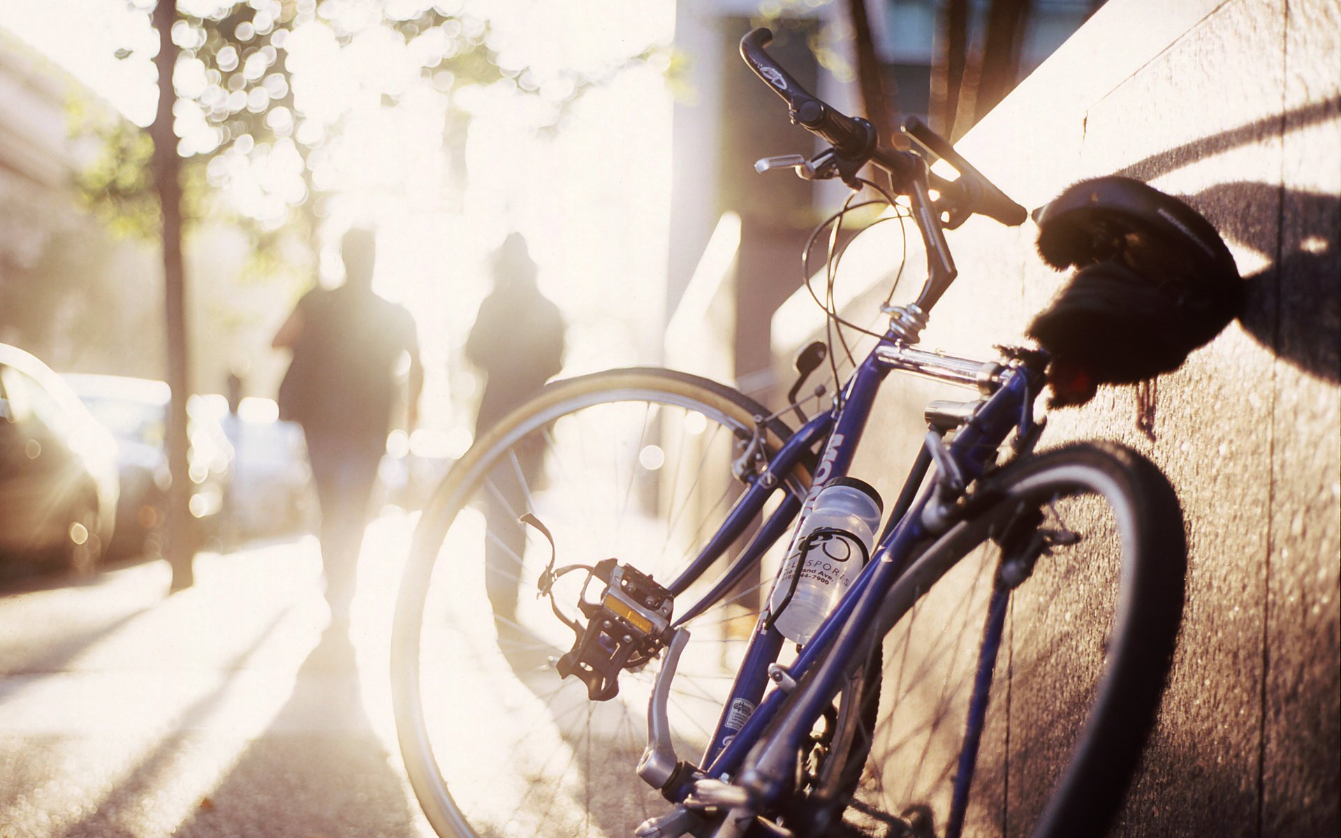 treet light nylon water bottle ner cov city bike silhouette photo people tree sport wall cycling morning silhouettes shadows the sun the sidewalk