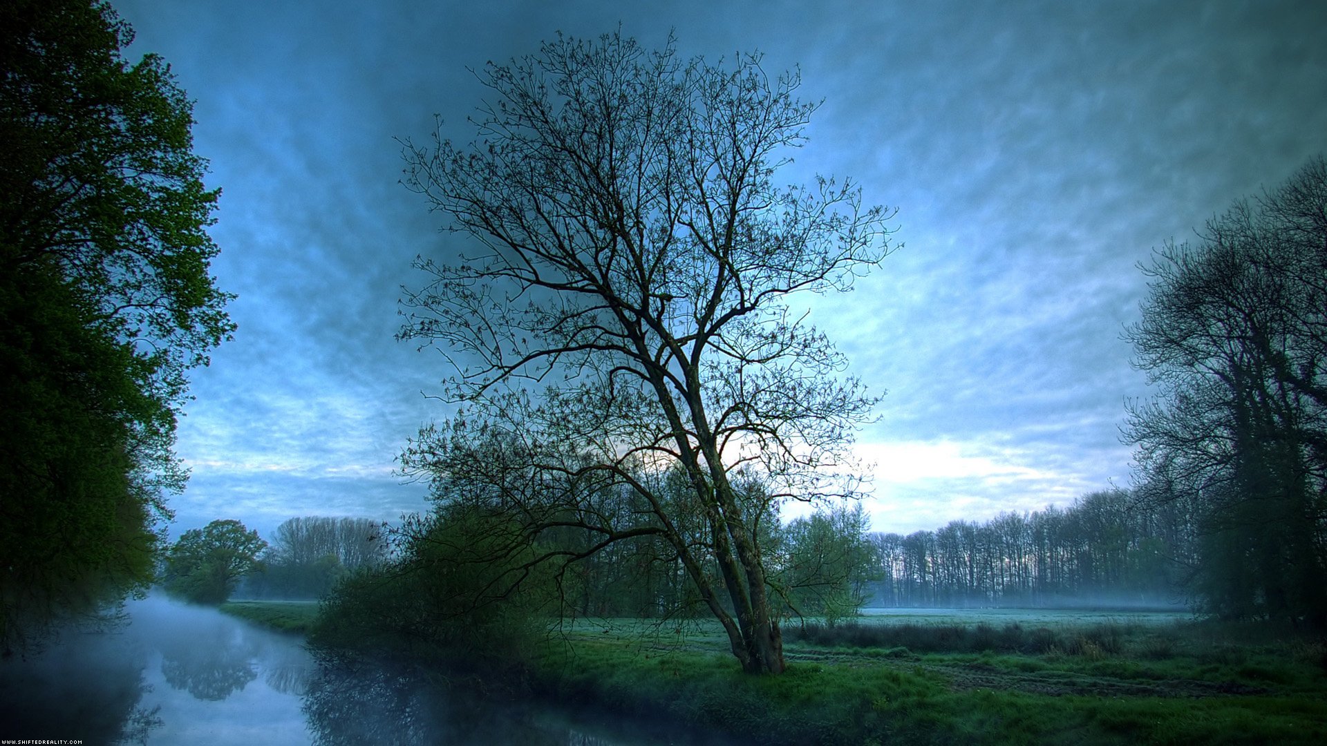 red ble natur wasser flüsse bäume himmel wald nebel