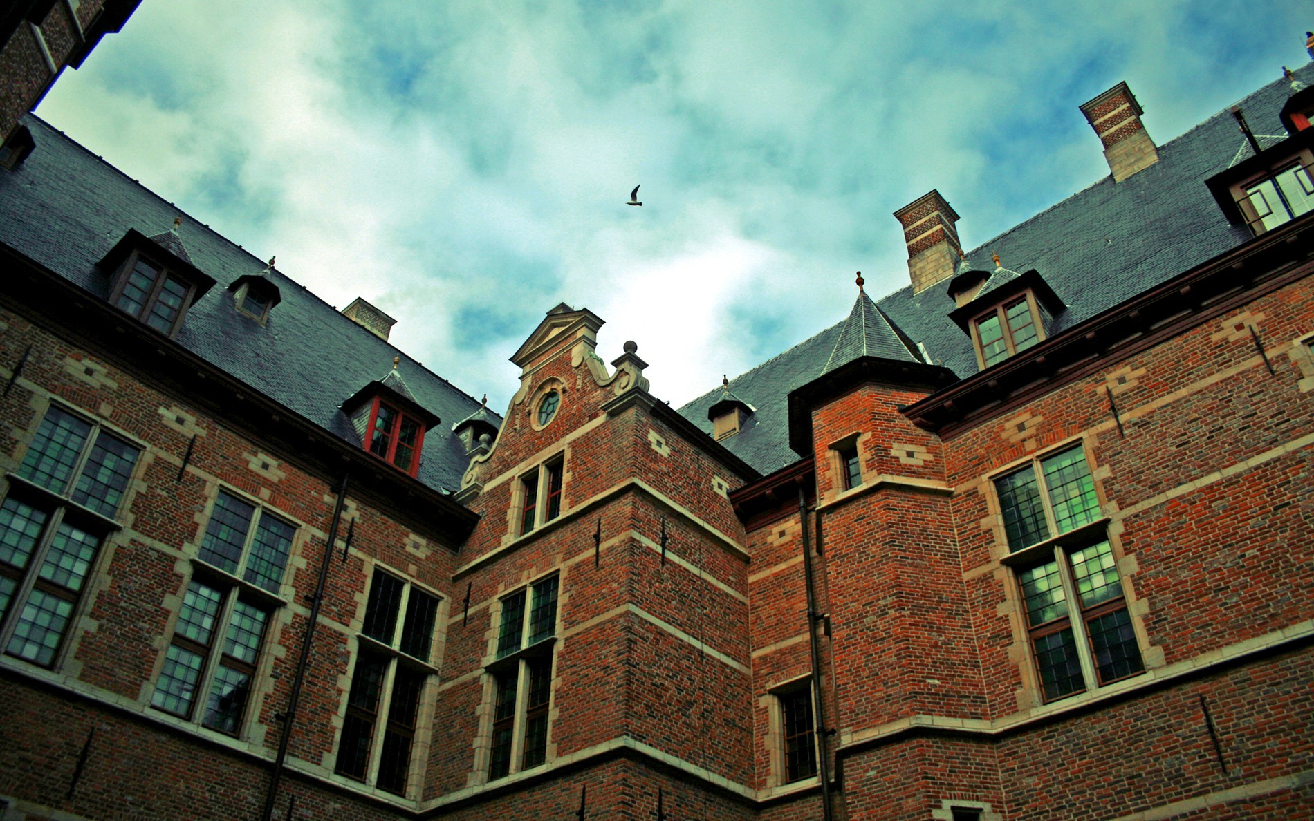 edificio pájaros cielo