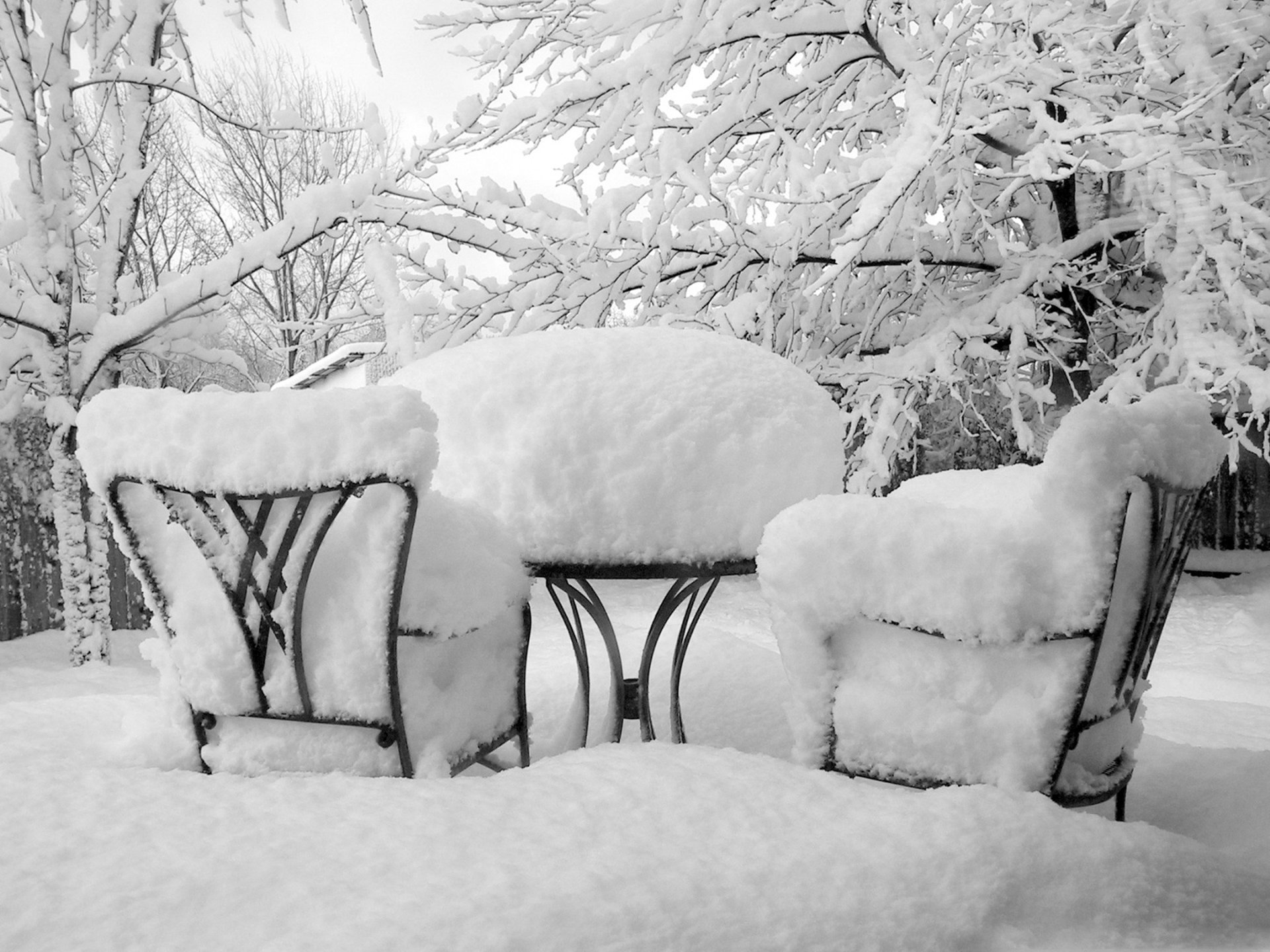 äste im schnee viel schnee winter garten stühle schnee drifts tisch schneebedeckte bäume bäume