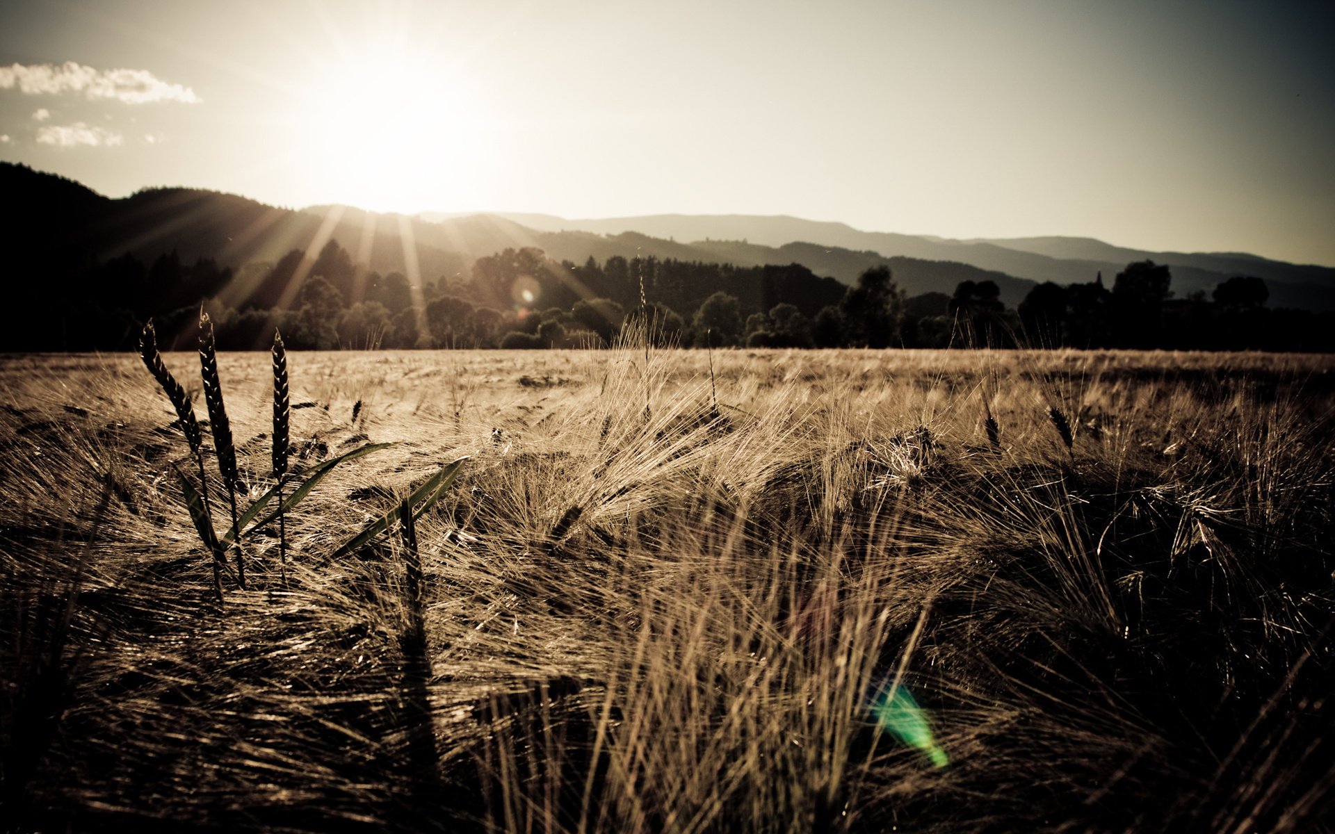 ner cov the sky the sun mountains sunset field spikelets wheat