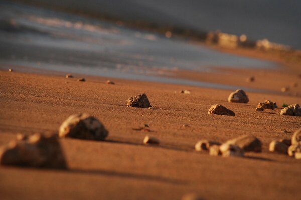 Piaszczysta, kamienista plaża. Wybrzeże
