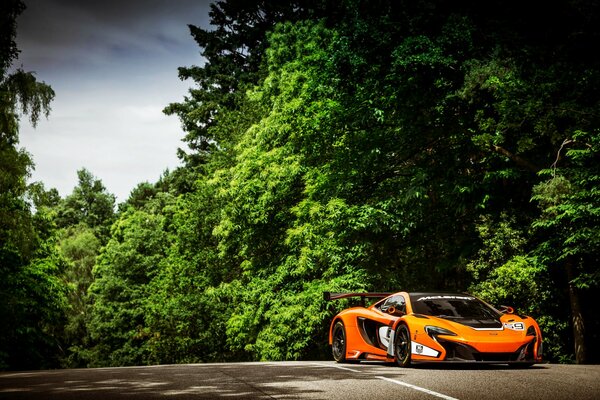 Maclalen 650s, route, forêt, arbres verts. forêt luxuriante