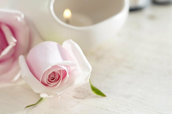 The tranquility of a rose on a candle background