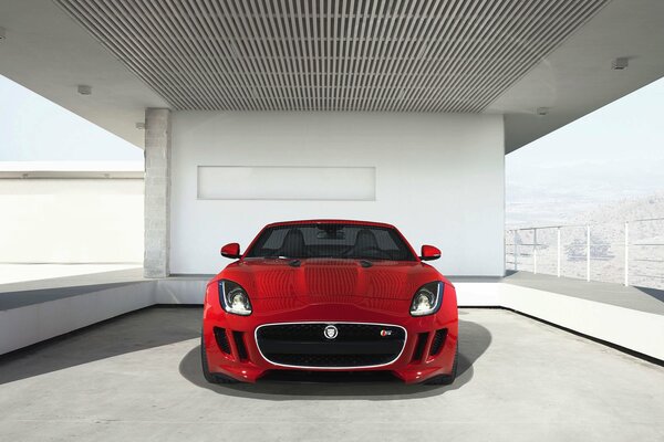 Der rote Jaguar sieht sehr gut aus