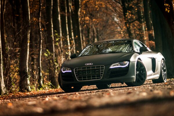 Superbe voiture de sport Audi avec vue de face