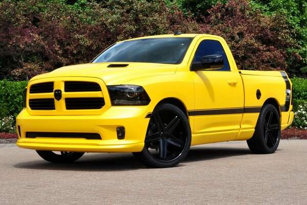 Pick-up jaune vif inhabituel sur fond de nature