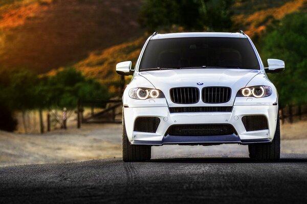 Белый тюнингованный bmw x5m в саванне