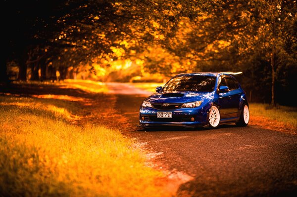 A blue car on the background of an autumn forest