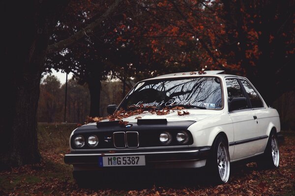 BMW entre el paisaje otoñal y las hojas caídas