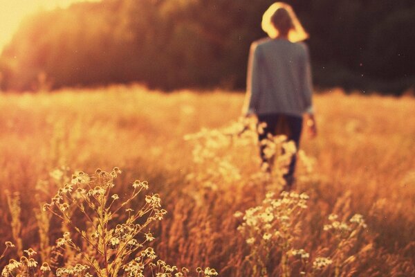 Chica en un campo de margaritas, puesta de sol