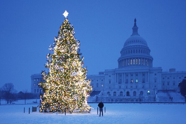 A glowing Christmas tree on an empty square