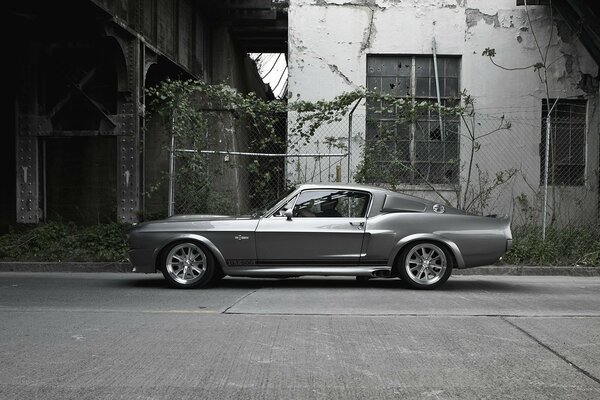 Silberner ford mustang gt500 in der Stadt