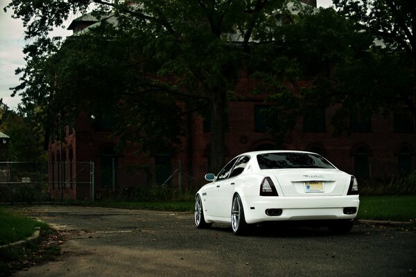 Maserati blanc sous l arbre, vue arrière