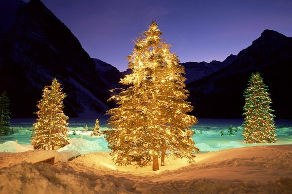 Guirnaldas en árboles de Navidad en año nuevo