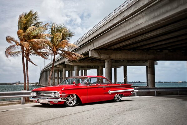 Passenger red car under the bridge with palm trees