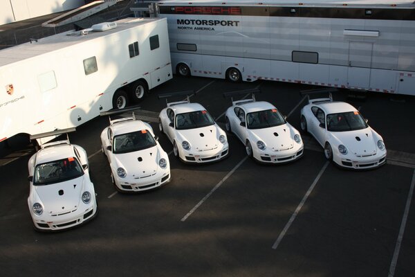 Varios autos blancos de la marca porsche 911 gt3 en el fondo de las furgonetas