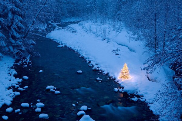 Árbol de Navidad en las luces en medio del bosque de invierno