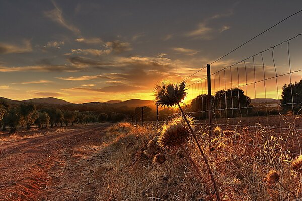 Wire fence in nature in the field