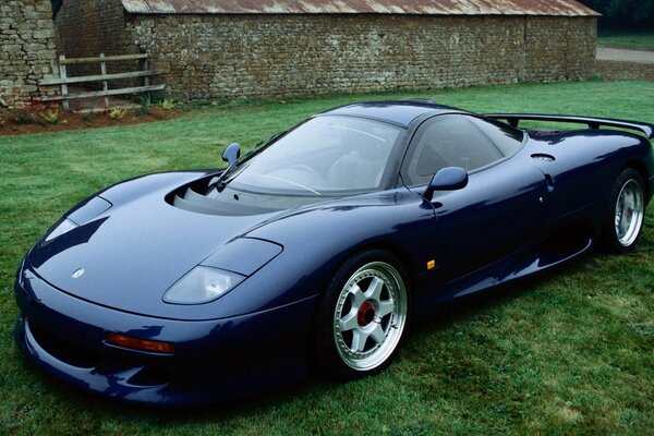 Voiture de sport bleue sur l herbe