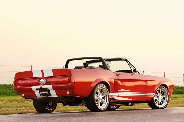 Rear view of a red Ford car on the highway