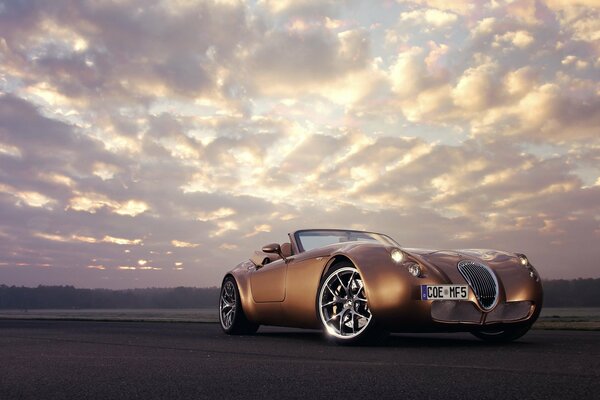 Roadster wiesmann mf5in tutta la coloremod