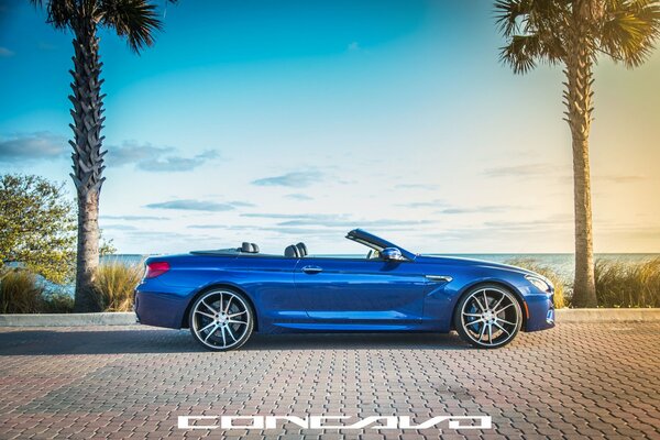 A picture of a blue concavo car on a background of palm trees