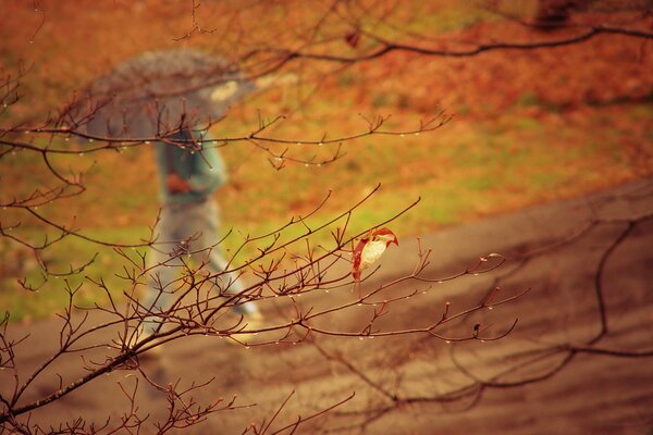 Un homme qui marche sous une petite pluie