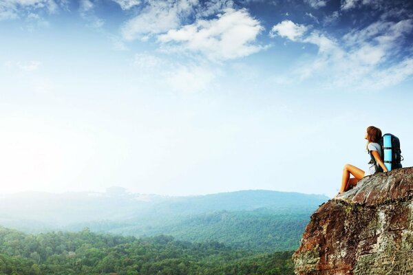 Panoramic view of the cliff against the background of the forest