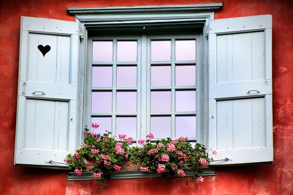 A window with open shutters against a red wall