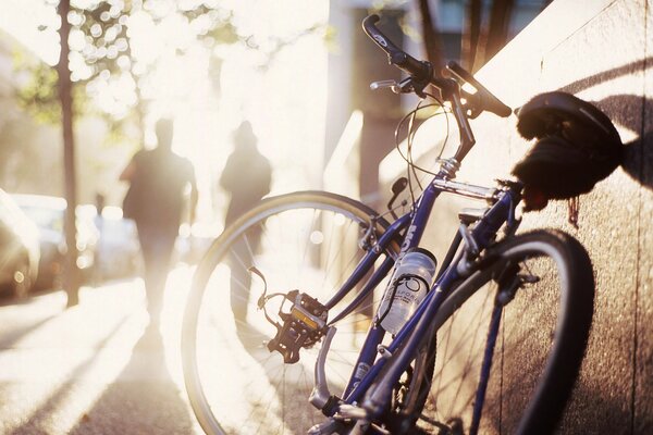 Vélo de sport debout sous le soleil du matin