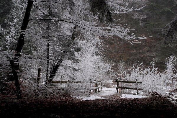 In winter, nature is especially magnificent