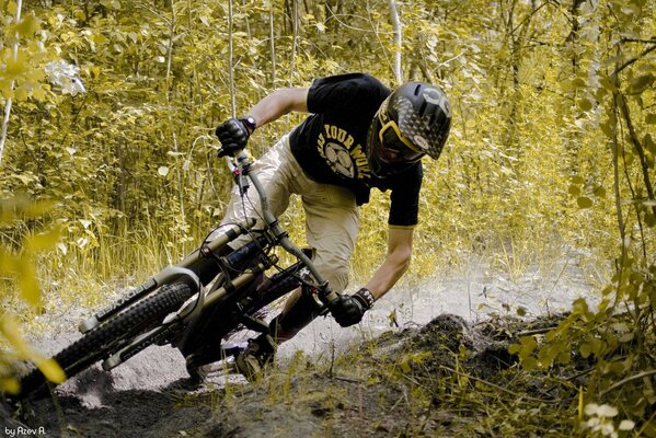 A cyclist on a race in a forest in a swamp