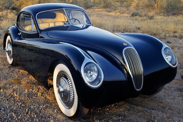 Coche retro negro con rejilla en el campo