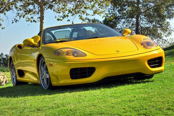 Жёлтый Ferrari 360 кабриолет стоит на газоне
