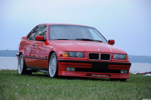 A red car on a green lawn