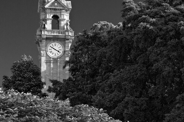 Photographie en noir et blanc de la tour de l horloge