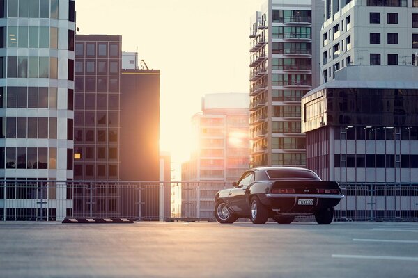 Chevrolet Camaro на фоне заката среди городской застройки