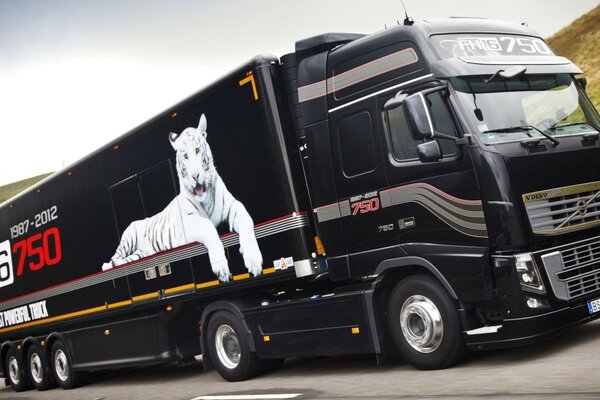 Volvo truck with a white tiger on the trailer