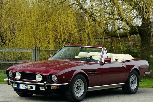 Schönes und helles weinrotes Auto im Cabrio-Stil