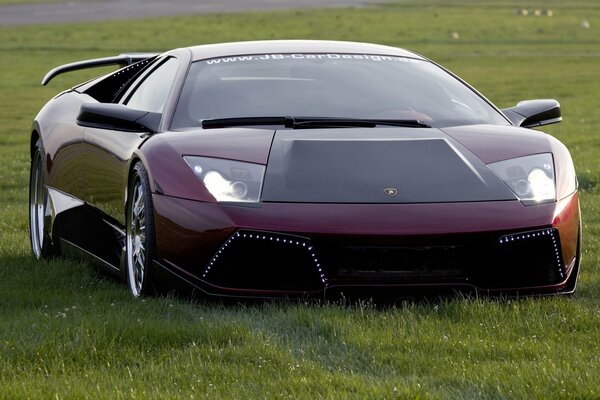 Lamborghini murselago red in a field on green grass