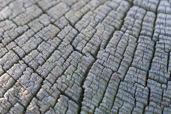 Textura de madera en una inspección más cercana