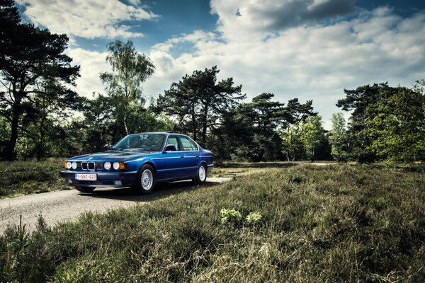 Classique bleu BMW 535i parmi les arbres