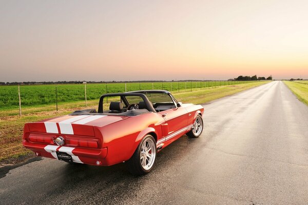 Roter Ford Mustang mit Streifen auf Himmelshintergrund und Straße mit Feld